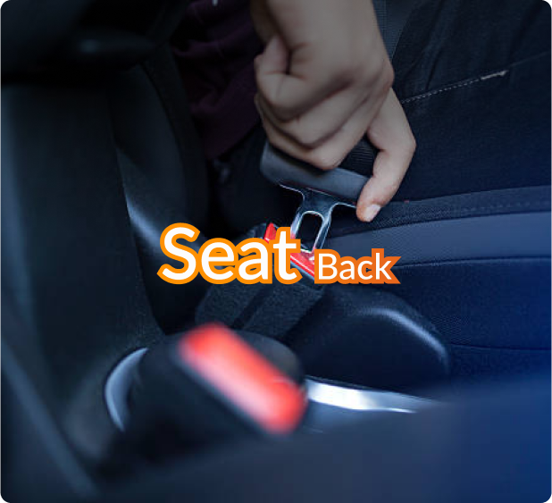 Seat Back